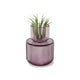 ALLIRA Organiser Medium - Purple