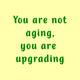 Tegeltje - Not Aging, Upgrading