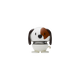 Hoptimist S Dog - Wit