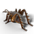 3D Model, Wild Dier - Sprinkhaan