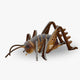 3D Model, Wild Dier - Sprinkhaan