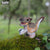 3D Model, Prehistorie - Raptor