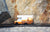 Candycar World - Arizona RV