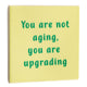 Tegeltje - Not Aging, Upgrading
