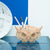 Robotime 3D Wooden Puzzle - Owl Storage Box