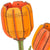 Robotime 3D Wooden Flower - Orange Tulip