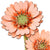 Robotime 3D Wooden Flower - Light Orange Gerbera