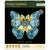 Puzzel - Morpho Helena