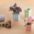 Mini Vazen (set of 5)