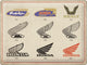 NA Tin Sign 30x40 - Honda Logo Evolution